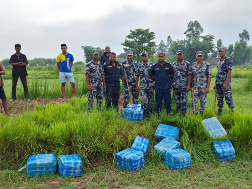 ठुलो परिमाणको लागुऔषध गाजा वेवारिसे अवस्थामा बरामद